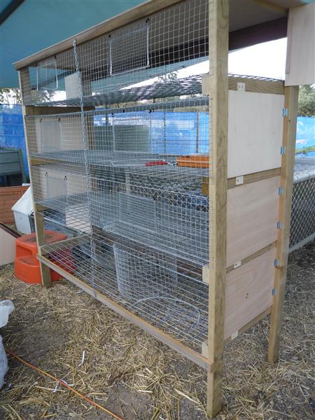 SAM_0707 (Custom).JPG