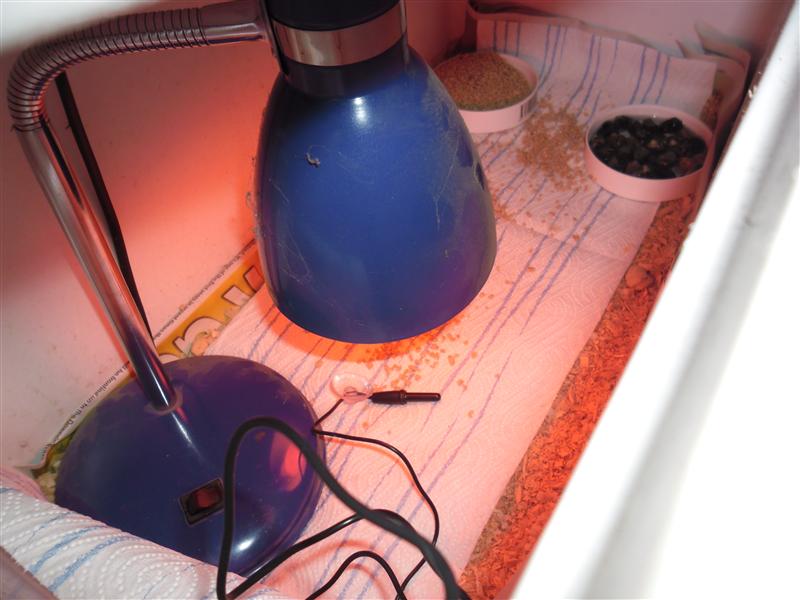 SAM_0710 (Custom).JPG