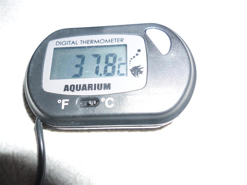 SAM_0712 (Custom).JPG