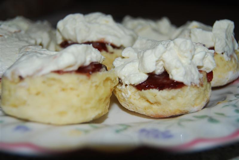 DSC_0469 (Custom).JPG