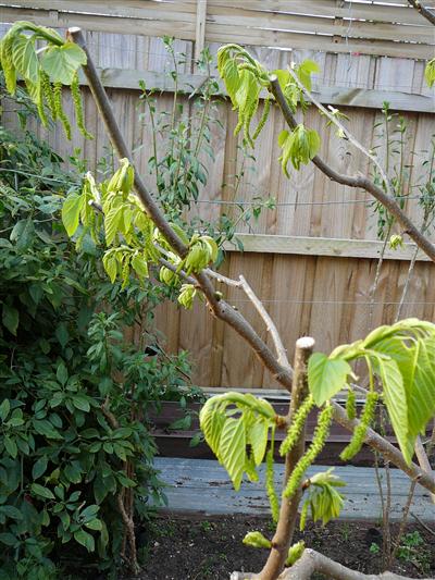 P1050577 (Custom).JPG