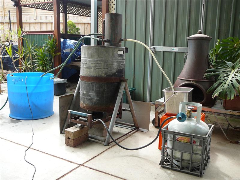 P1050584 (Custom).JPG