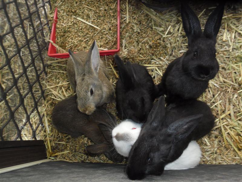 SAM_0790 (Custom).JPG