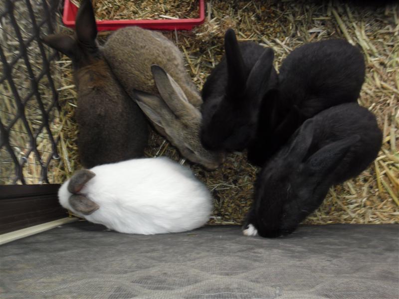 SAM_0793 (Custom).JPG