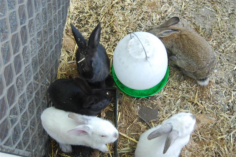 DSC_0802 (Custom).JPG