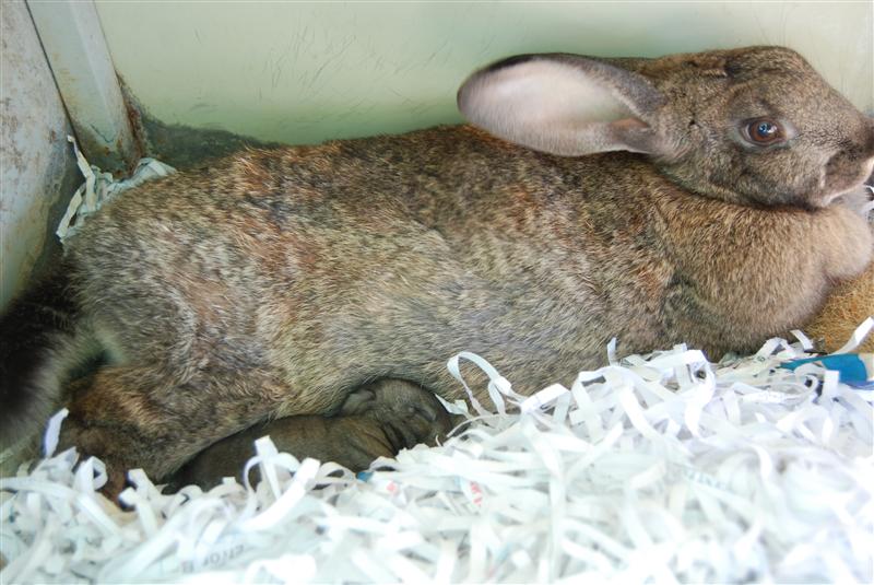 DSC_0798 (Custom).JPG