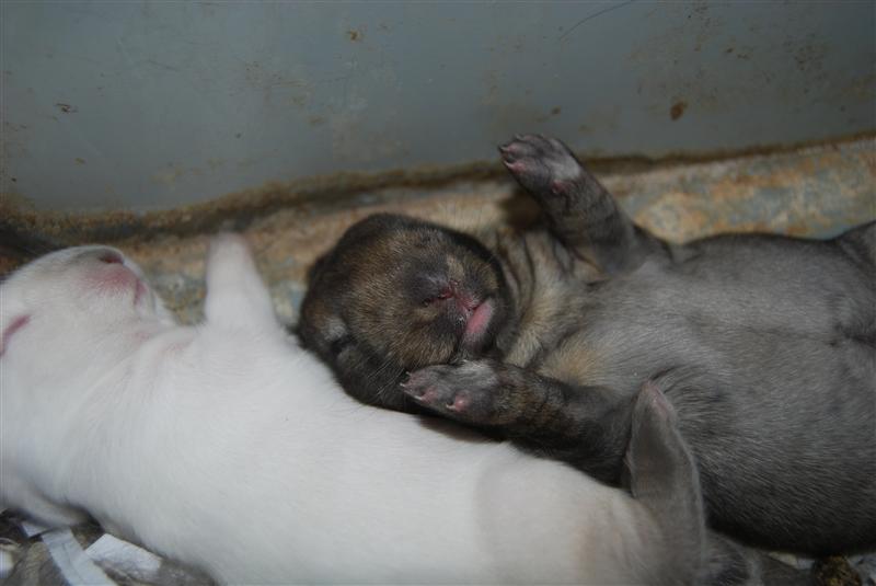 DSC_0800 (Custom).JPG