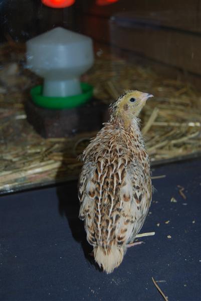 DSC_0769 (Custom).JPG