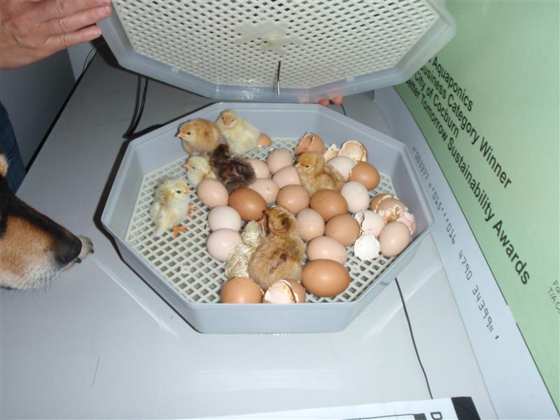 PA020358 (Custom).JPG