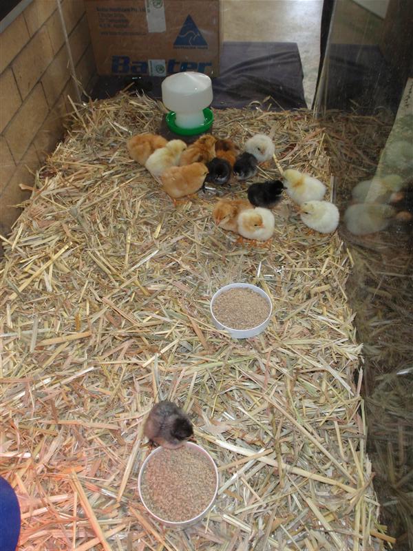 PA020363 (Custom).JPG