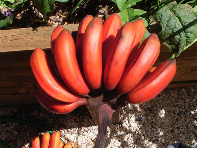 RIMG3289 (Small).JPG