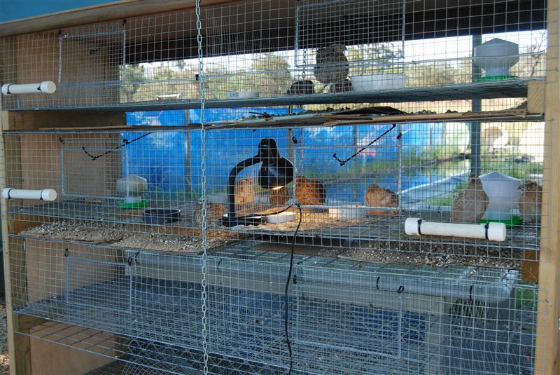 DSC_0774 (Custom).JPG