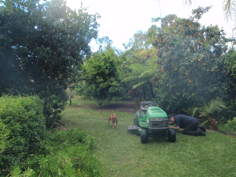 PA120608 (Medium).JPG