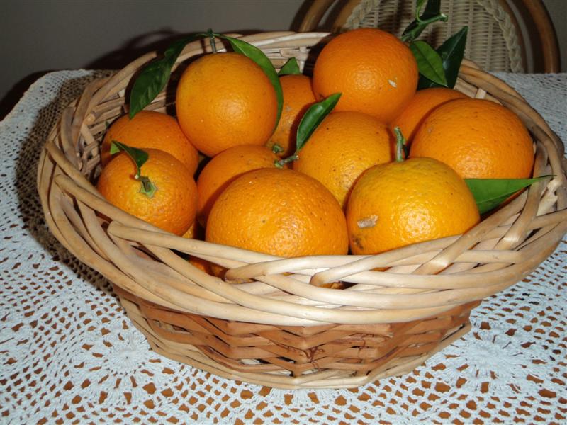 PA160030 (Medium).JPG