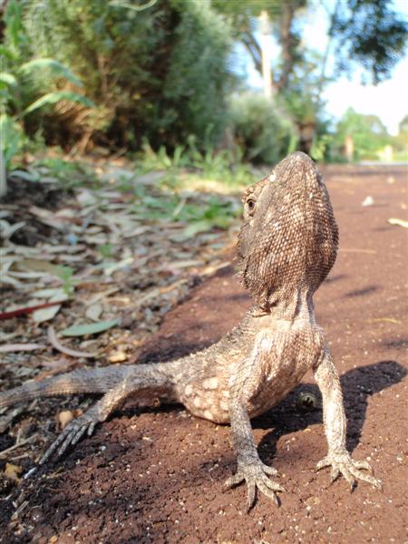 PA160023 (Medium).JPG