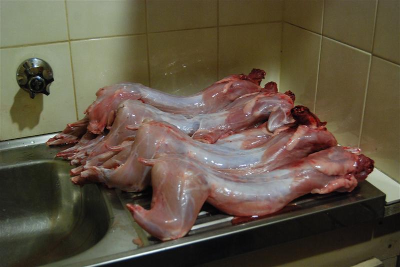 DSC_0026 (Custom).JPG