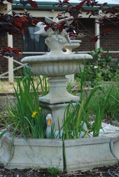 DSC_0009 (Medium).JPG