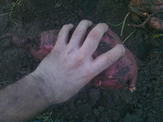 10-24-2011 one hand full.jpg