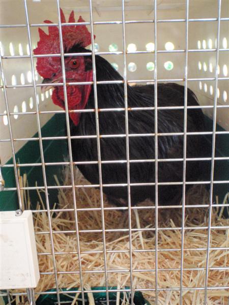 PA300160 (Medium).JPG