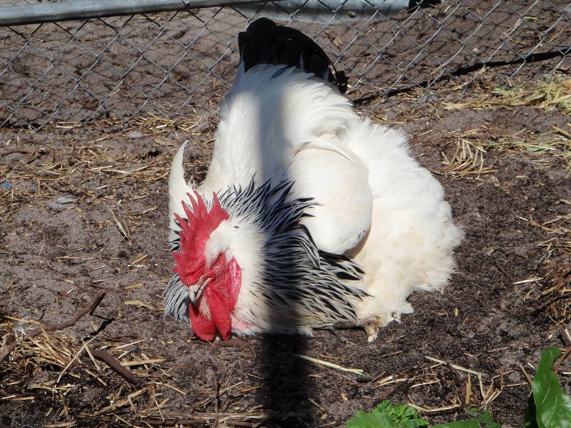 PA300125 (Medium).JPG