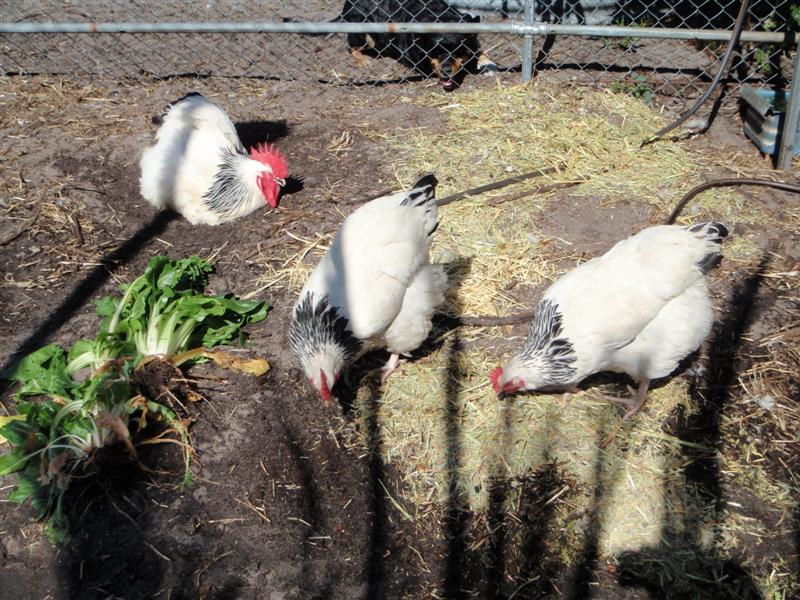 PA300128 (Medium).JPG