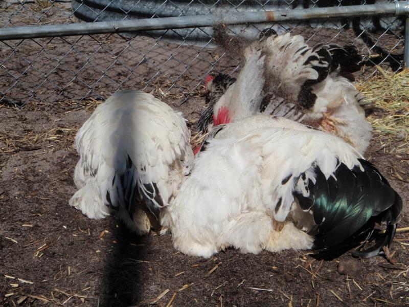 PA300142 (Medium).JPG