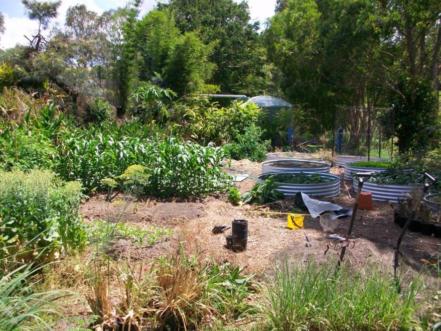 100_2968 (small).jpg