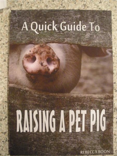 PB080263 (Medium) (2).JPG