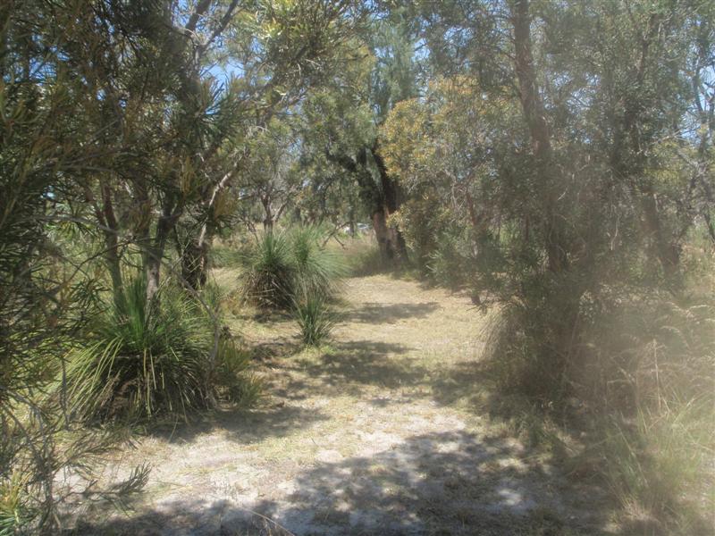 PB120257 (Medium).JPG