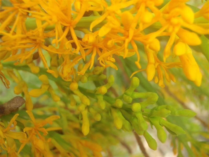 PB090213 (Medium).JPG