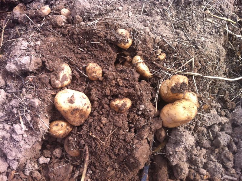 IMG_1554 (Medium).jpg