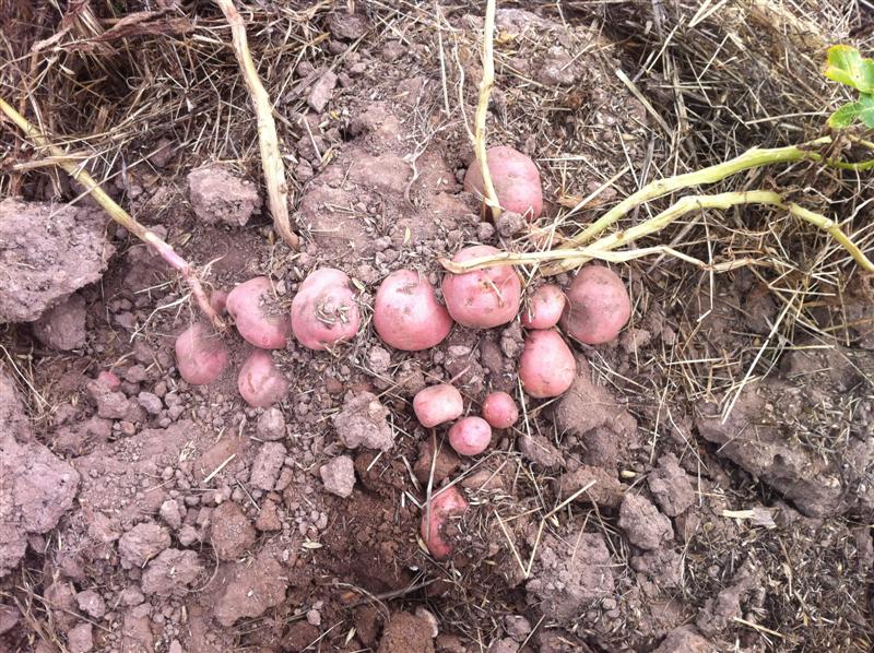 IMG_1561 (Medium).jpg