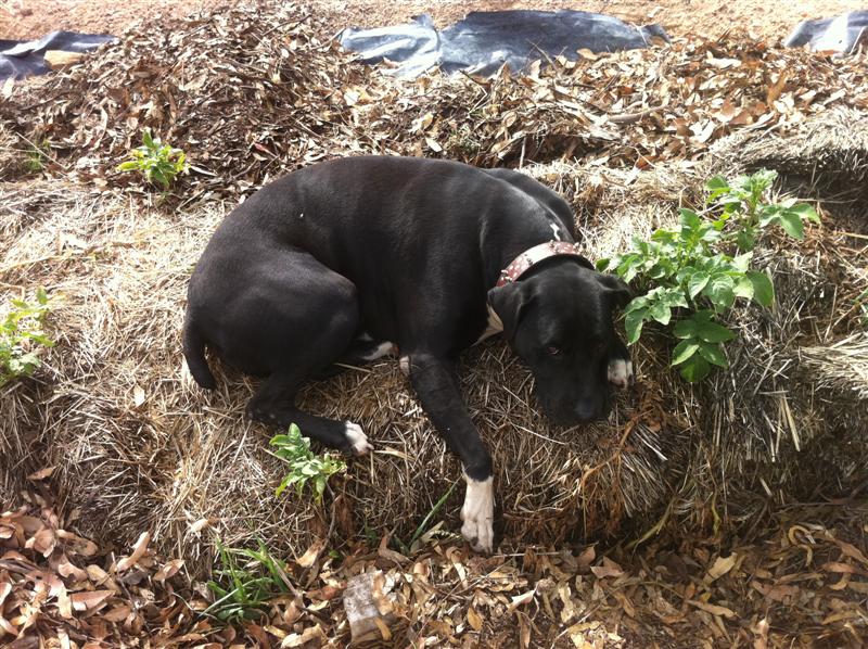 IMG_1556 (Medium).jpg