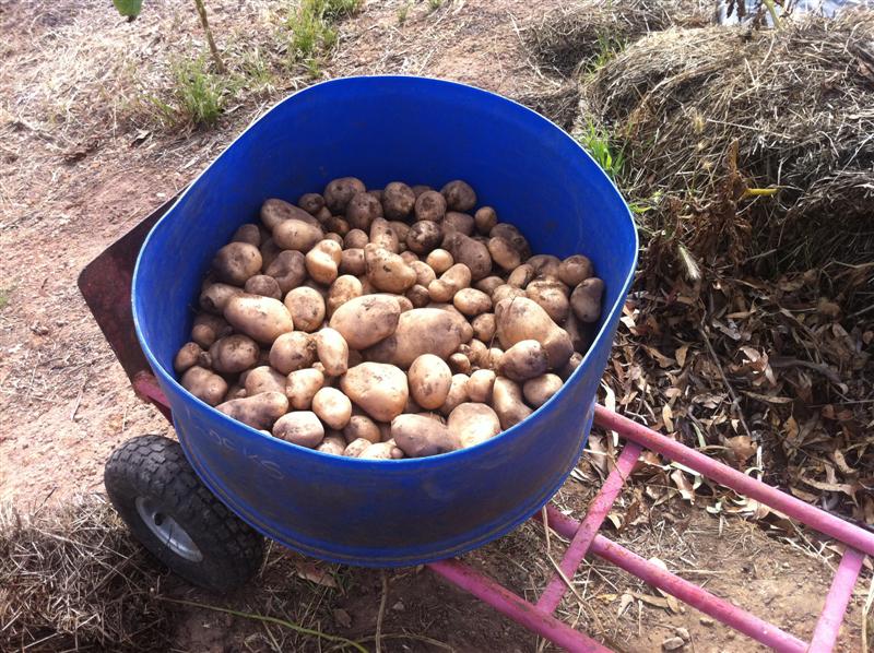 IMG_1558 (Medium).jpg