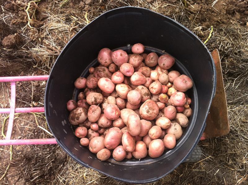 IMG_1562 (Medium).jpg