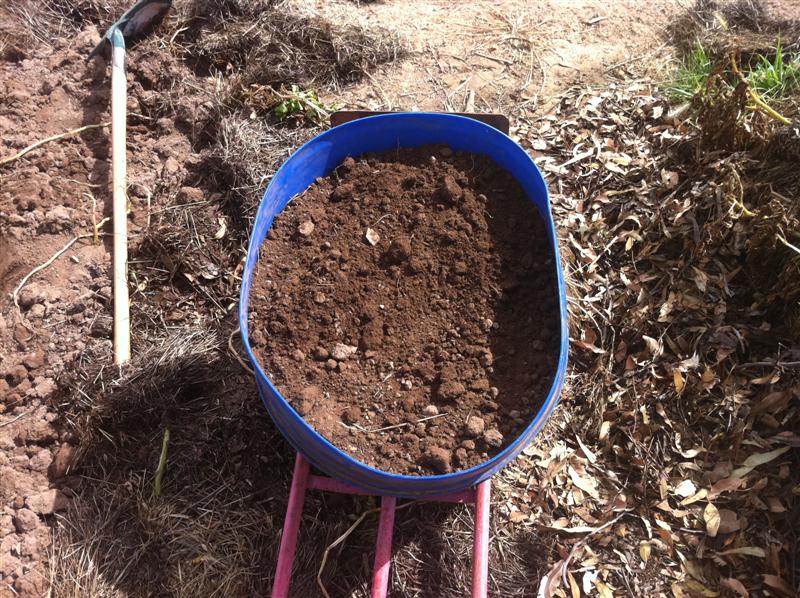 IMG_1559 (Medium).jpg