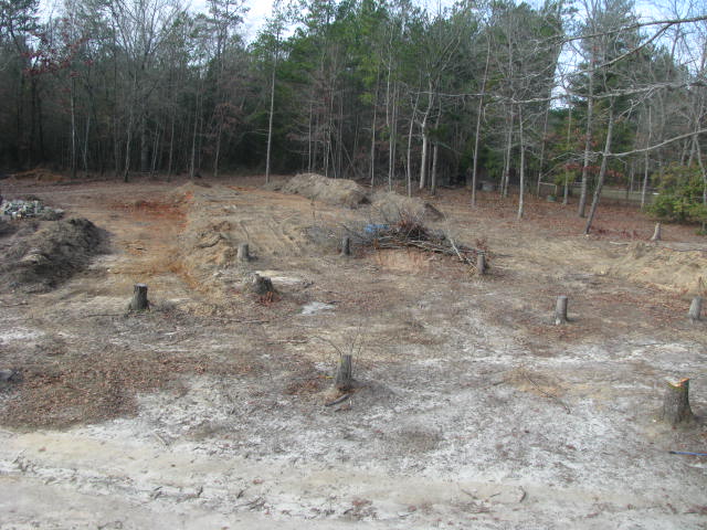 12-16-2011 Upper part of garden.jpg