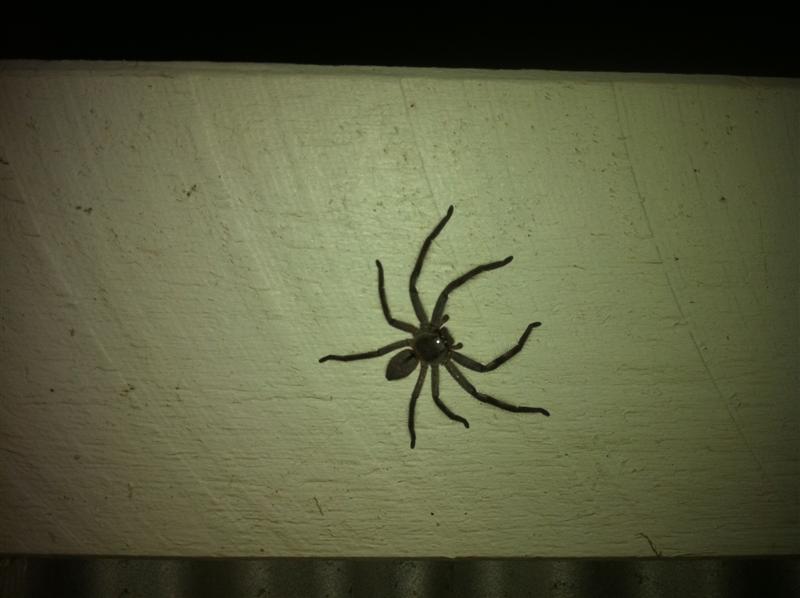 IMG_1692 (Medium).jpg