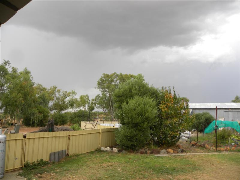 gardens byf 042 (Medium).jpg