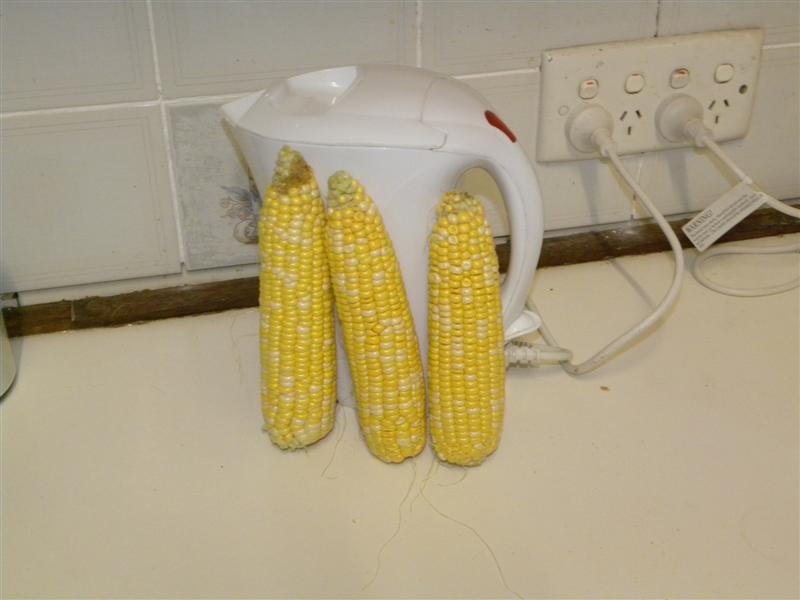 gardens byf 041 (Medium).jpg