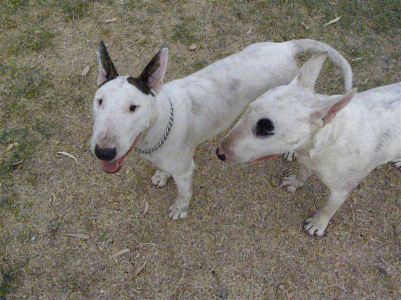 Lilly 001 (Medium).jpg