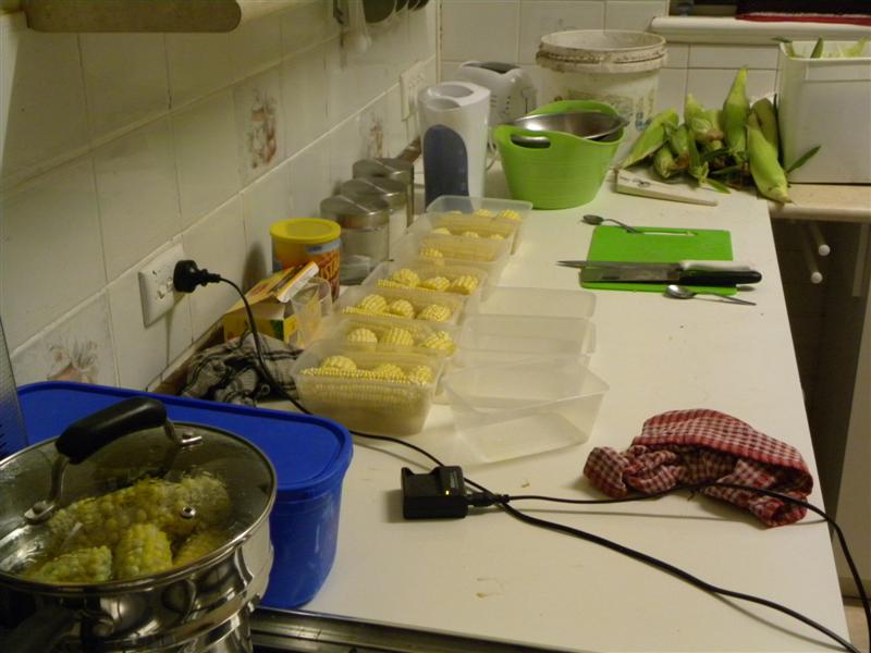 gardens byf 043 (Medium).jpg