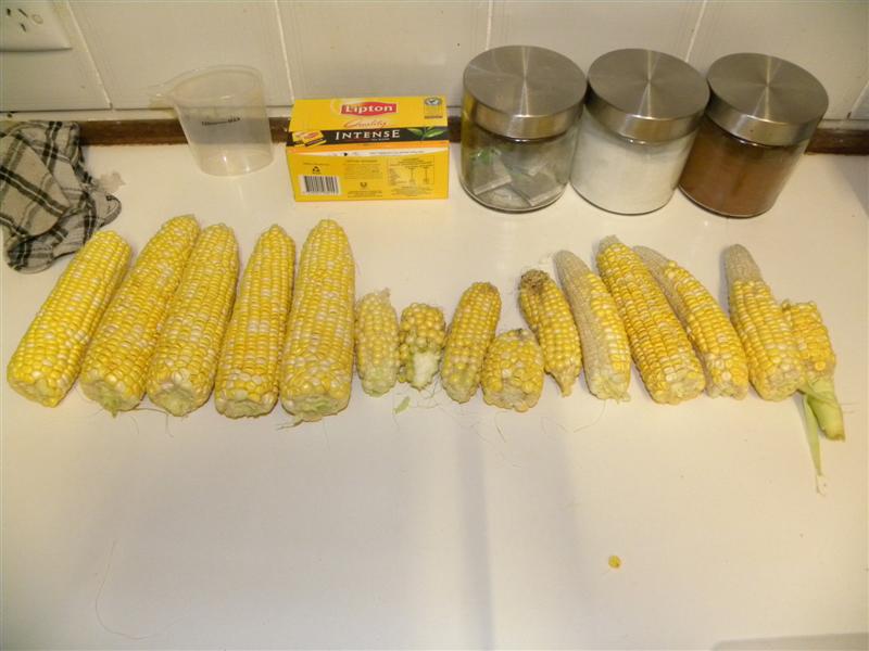 gardens byf 045 (Medium).jpg