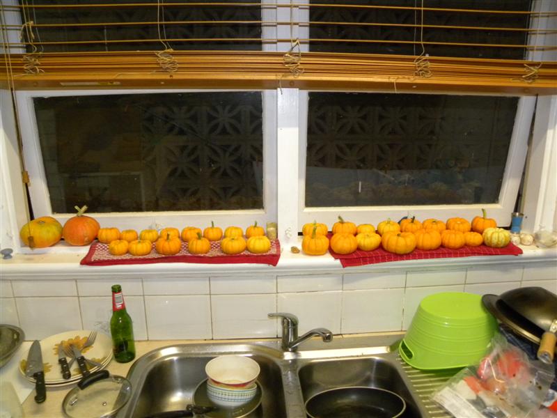 gardens byf 055 (Medium).jpg