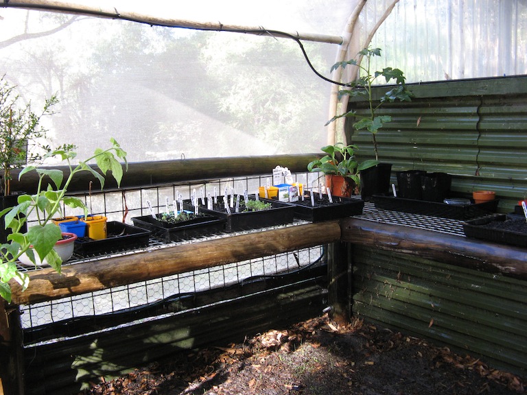 sowing ready for autumn.JPG