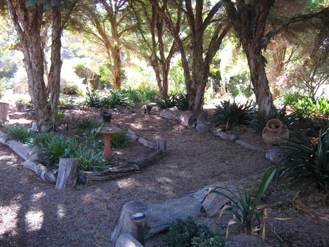 Front Garden May 2009 003 (Small).jpg