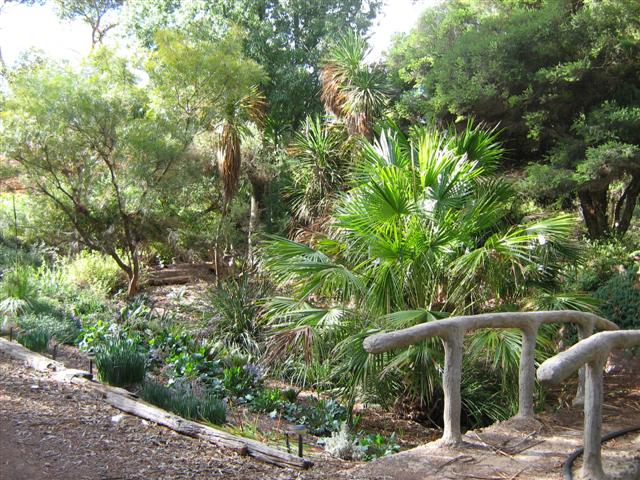 's May 2009 002 (Small).jpg