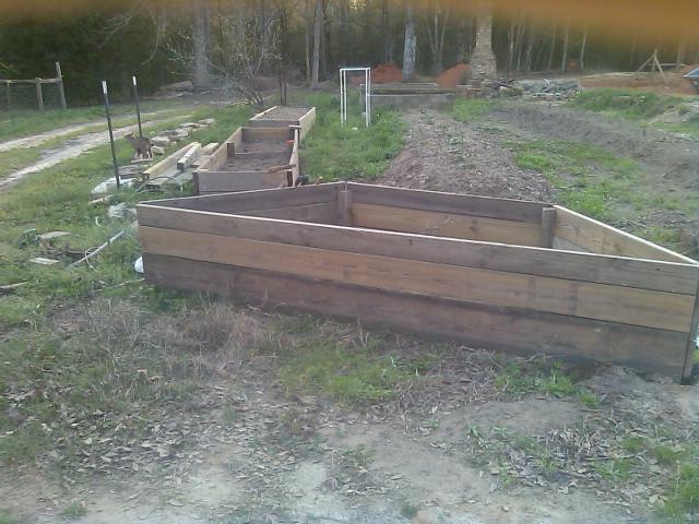 3-19-2012 Time to fill this one.jpg