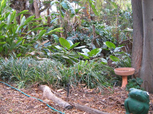 's May 2009 006 (Small).jpg