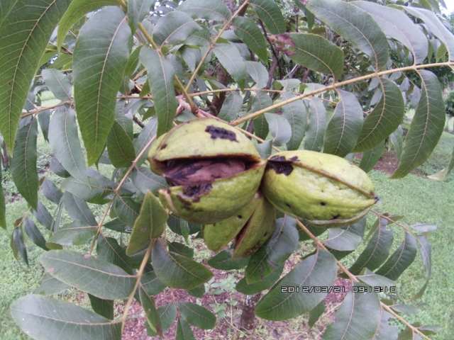 ATC_0038 (640x480).jpg